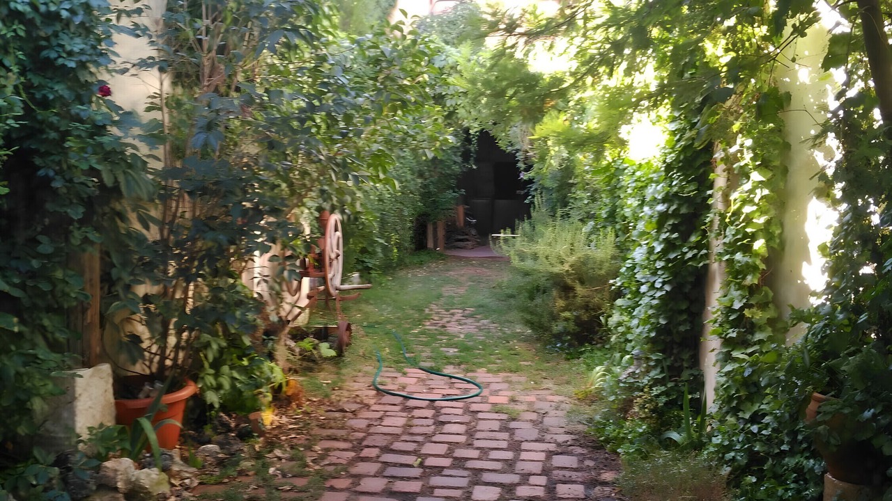 Photo of Outdoor in Villarrubia de Santiago