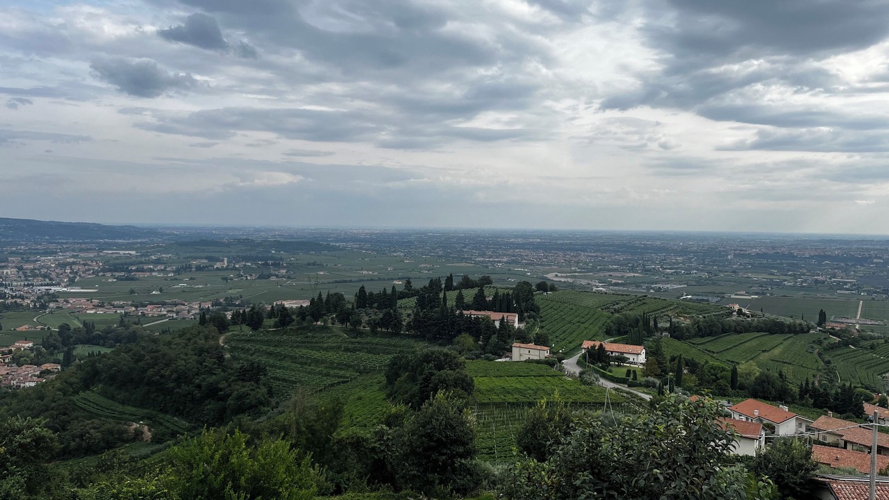 Photo of Others in Sant'Ambrogio di Valpolicella