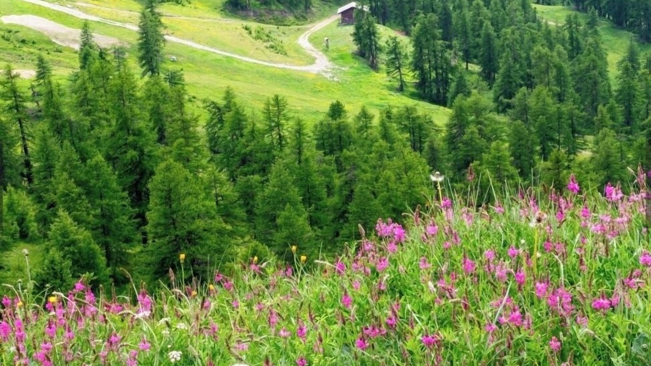 Photo of Others in Sestriere
