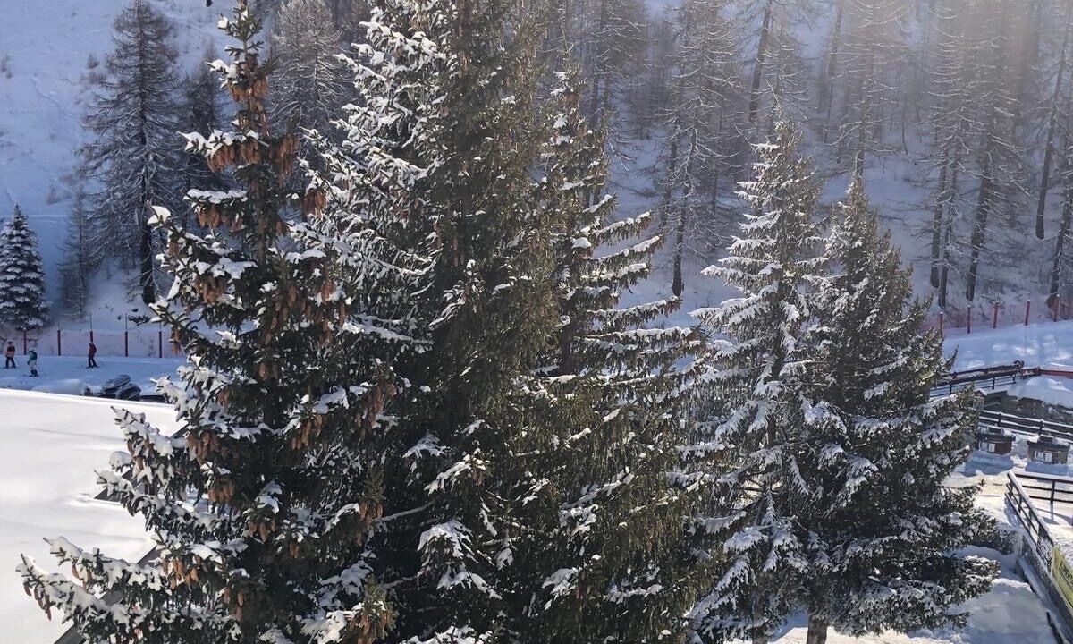 Photo of Others in Sestriere