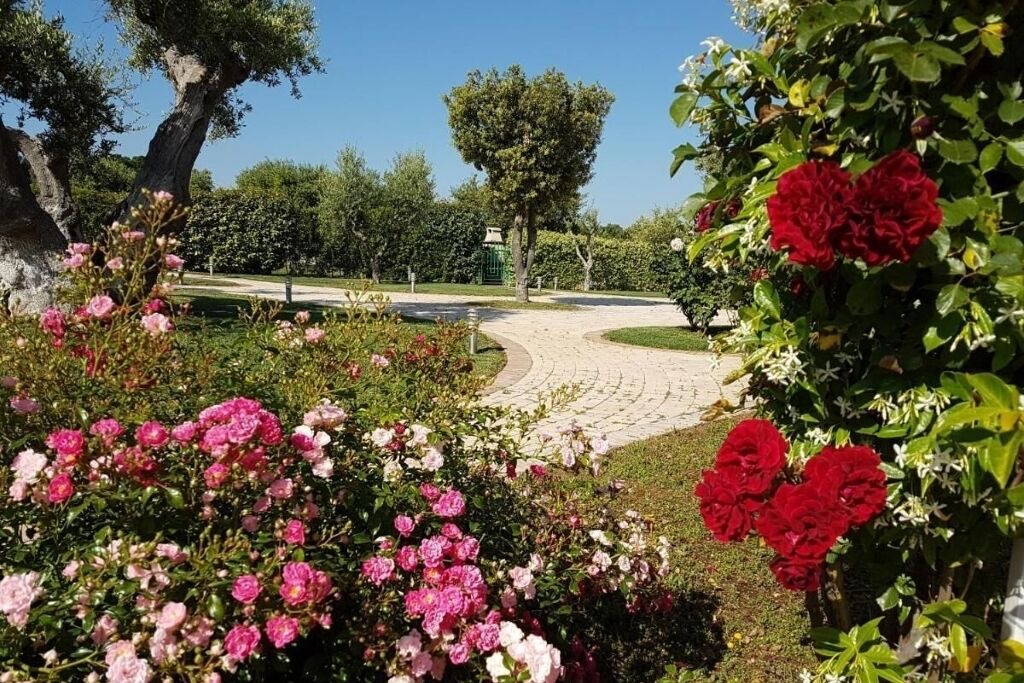 Photo of Outdoor in Conversano