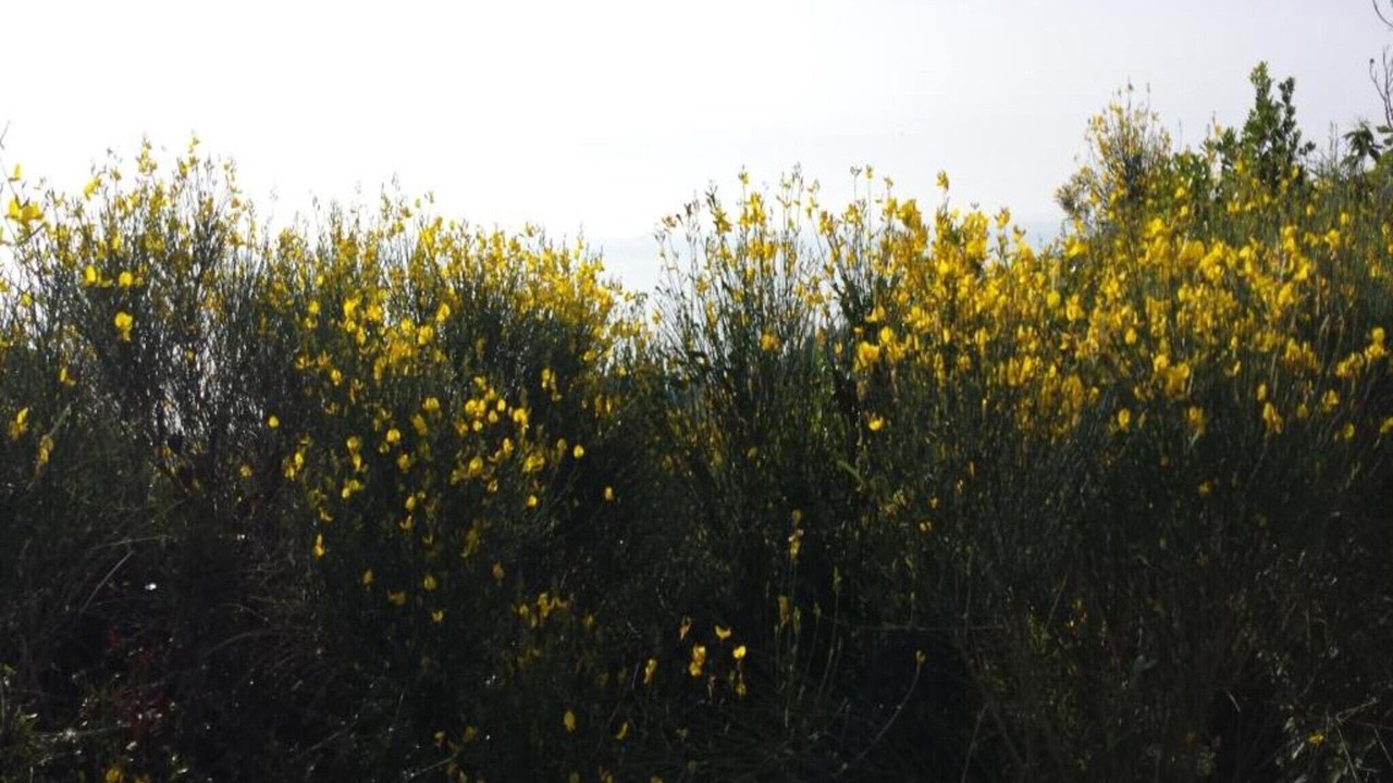 Photo of Others in San Giorgio