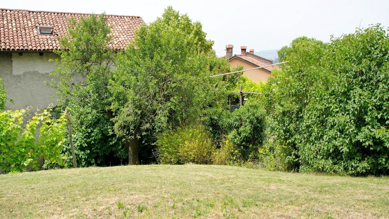 Photo of Others in Moncucco Torinese