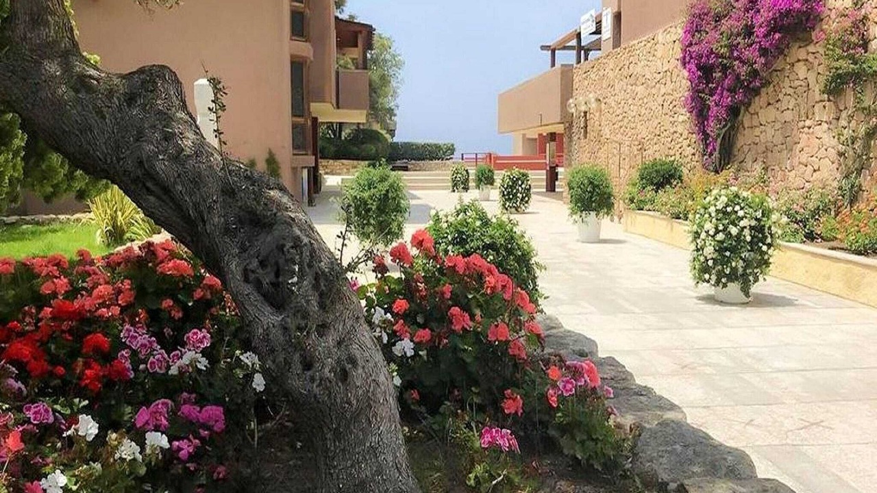 Photo of Others in Cugnana Verde