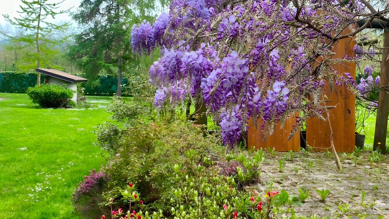 Photo of Outdoor in Peveragno