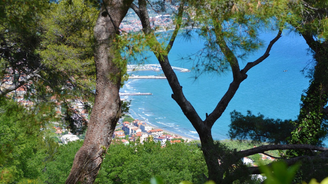 Photo of Outdoor in Diano Marina