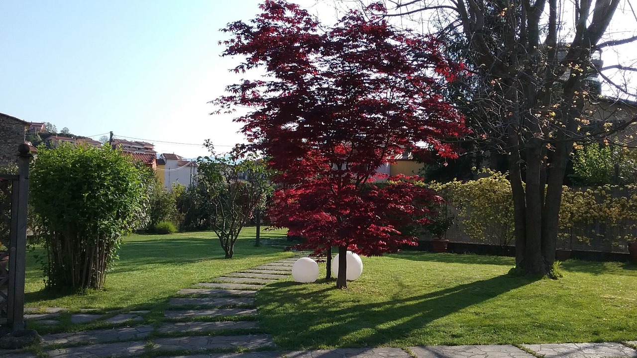 Photo of Outdoor in Arcola