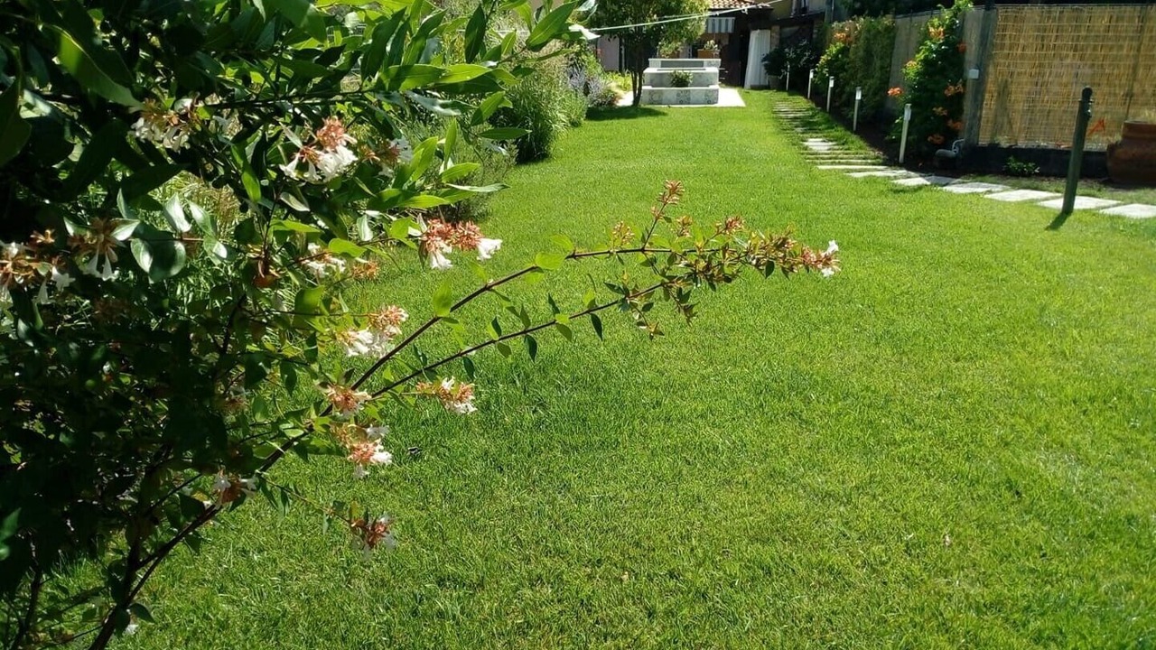 Photo of Outdoor in Arcola