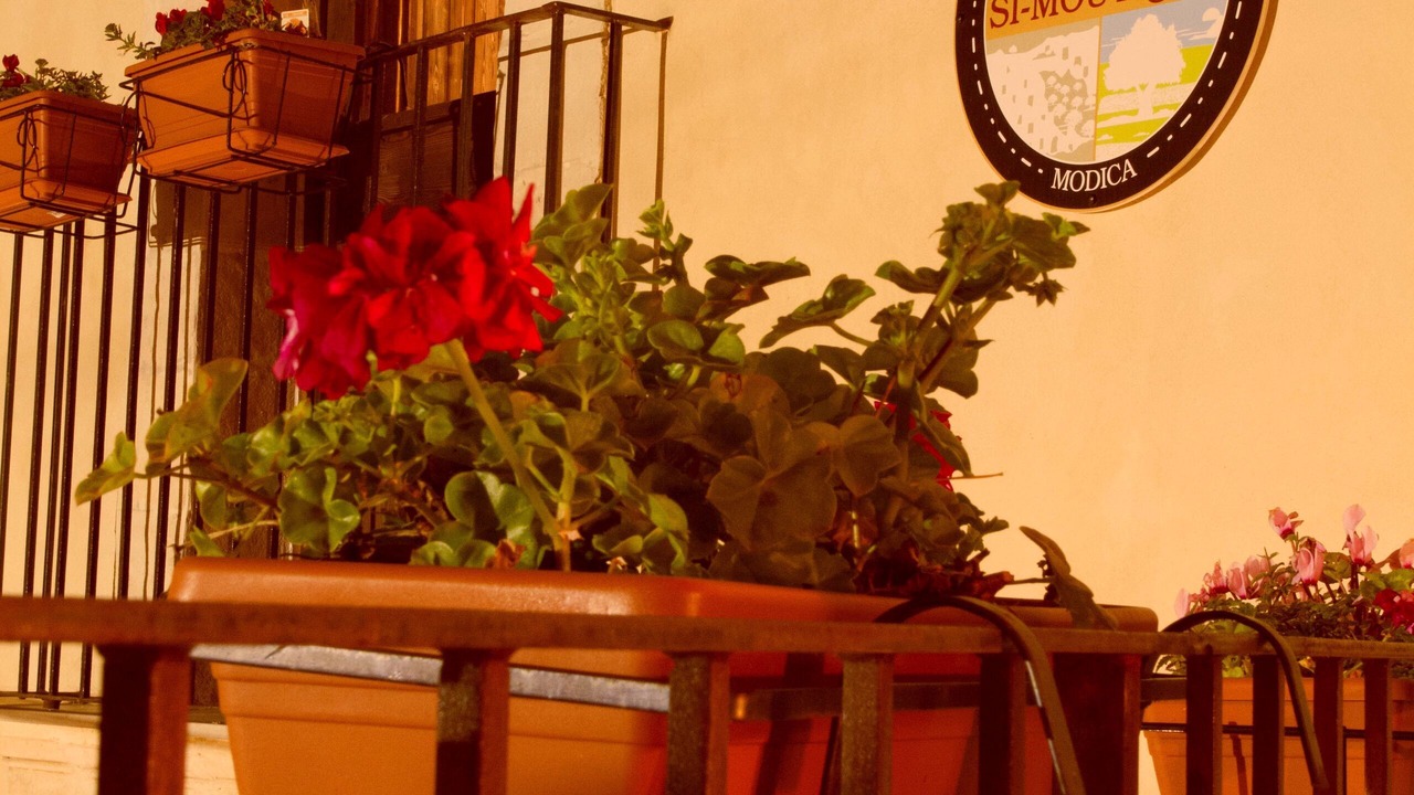 Photo of Outdoor in Modica