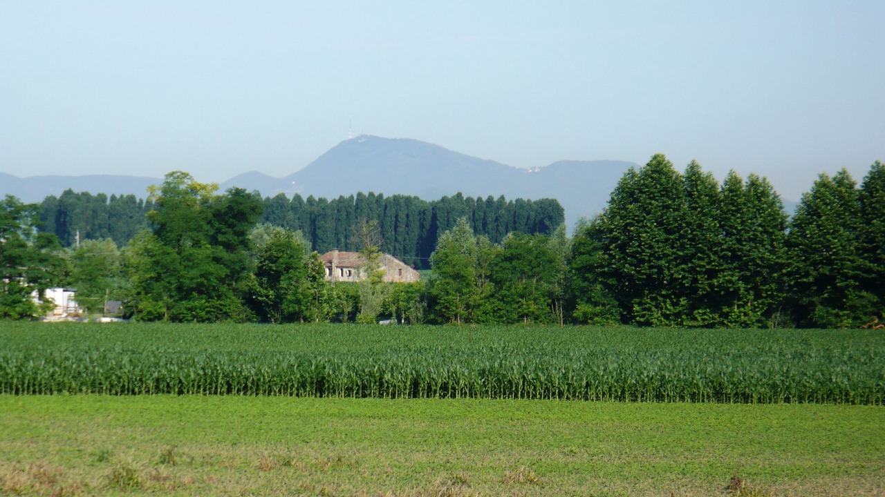 Photo of Outdoor in Brugine