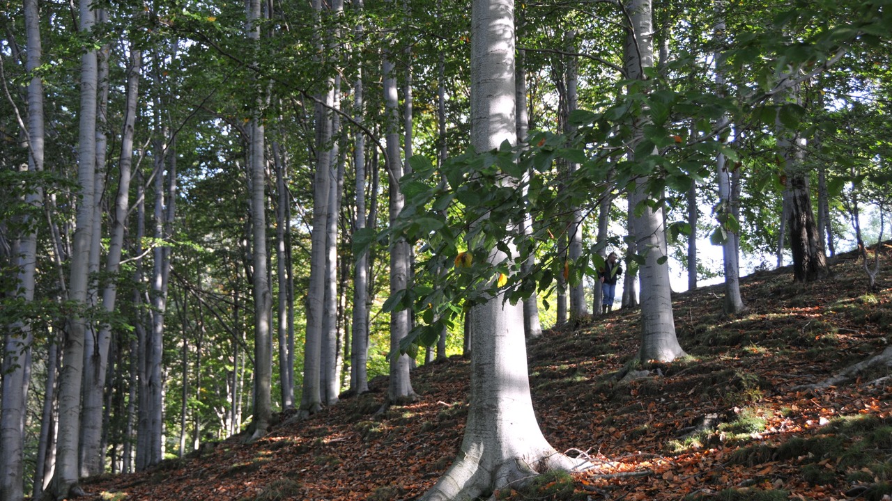 Photo of Outdoor in Quittengo