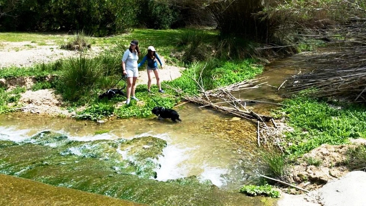 Photo of Outdoor in Letur