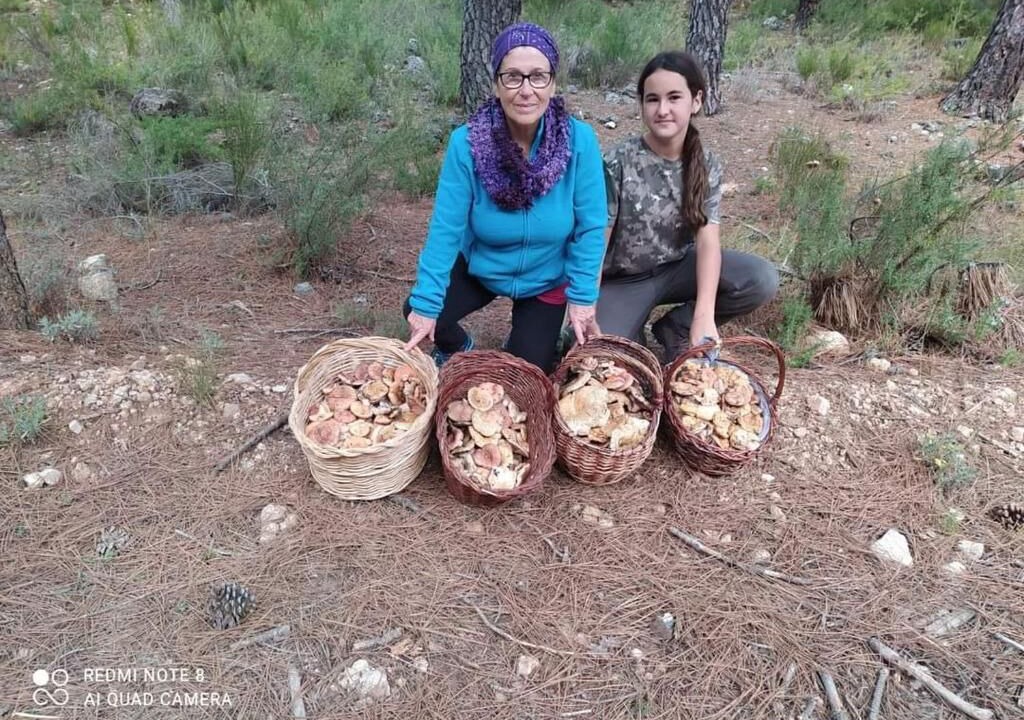 Photo of Outdoor in Elche De La Sierra