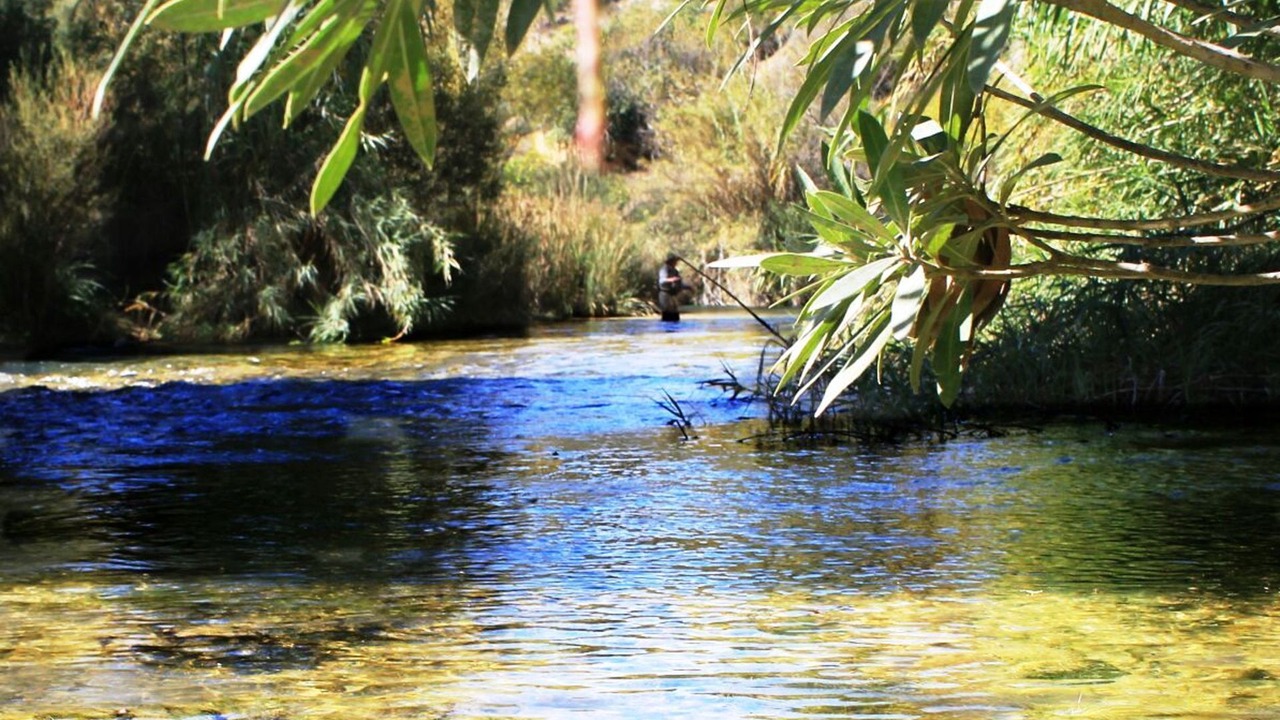 Photo of Others in Elche De La Sierra