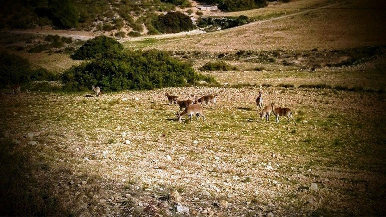 Photo of Outdoor in Elche De La Sierra