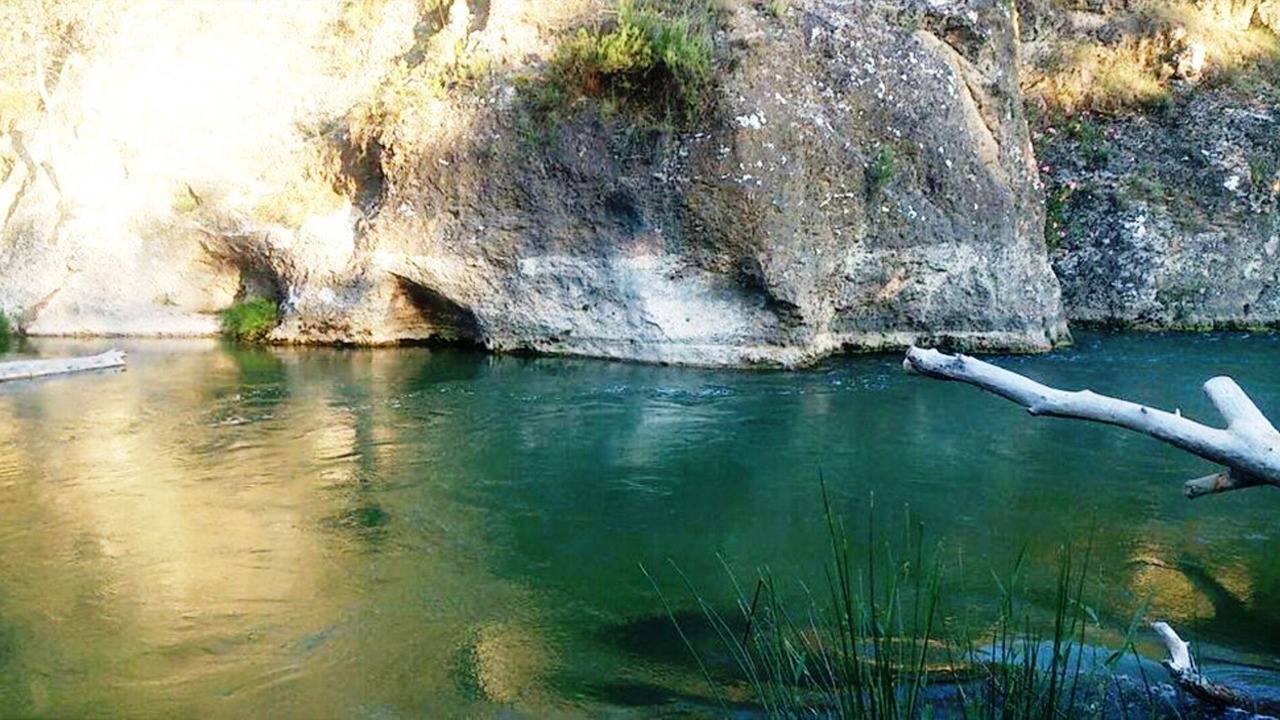 Photo of Others in Elche De La Sierra