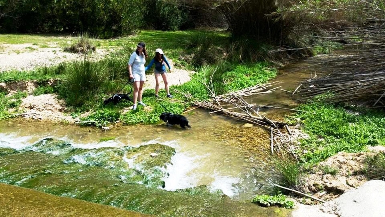 Photo of Outdoor in Elche De La Sierra