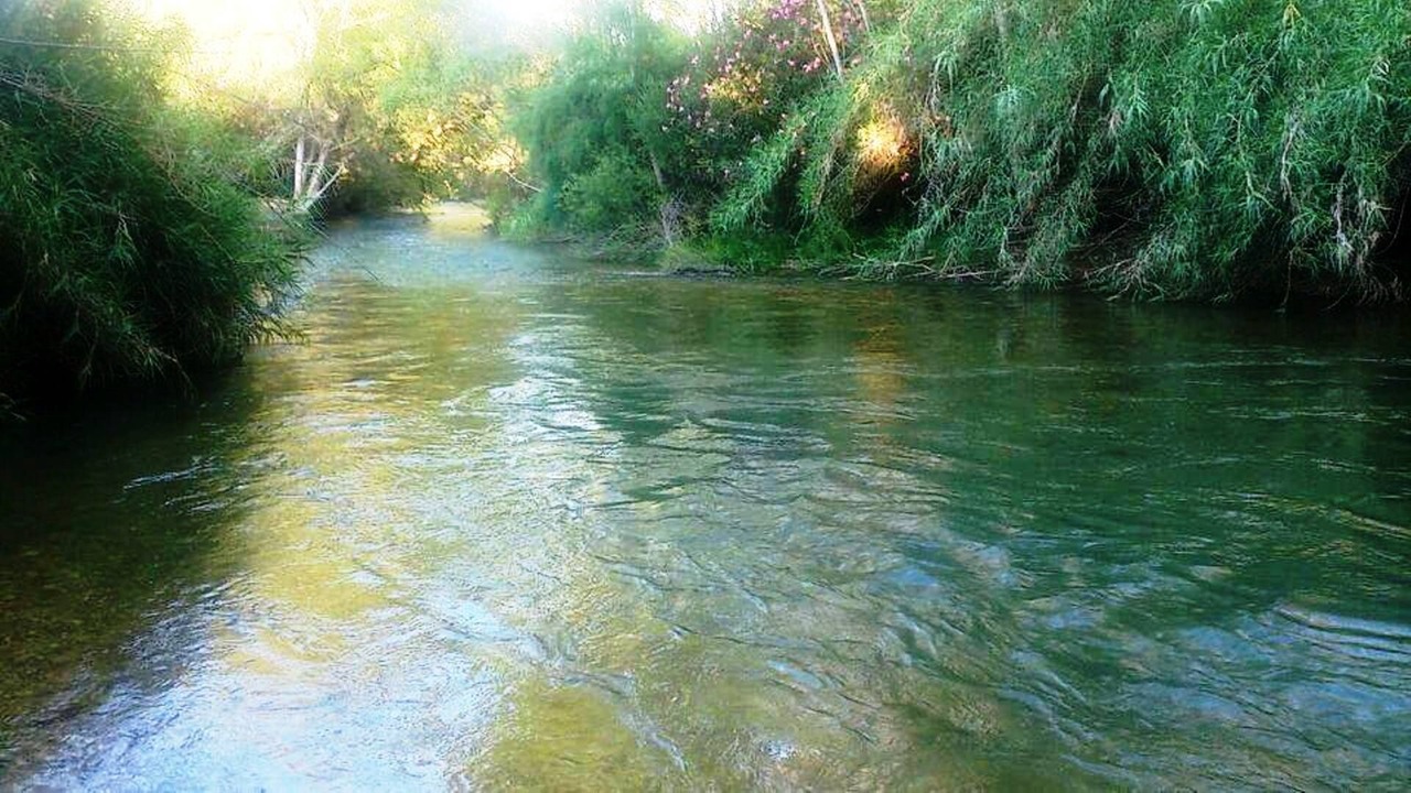 Photo of Others in Elche De La Sierra