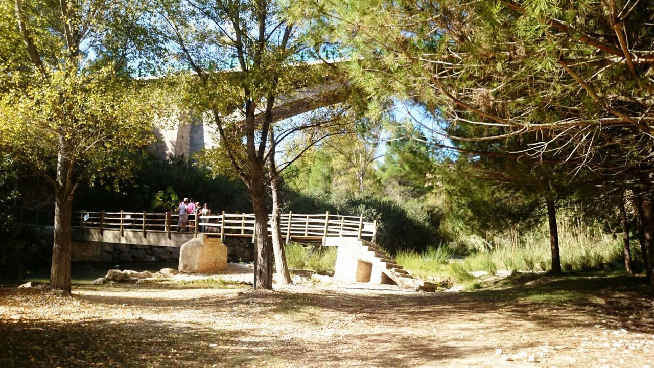 Photo of Outdoor in Elche De La Sierra