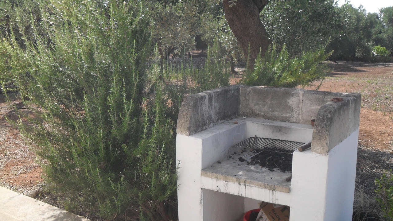 Photo of Outdoor in Fasano