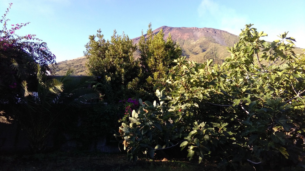 Photo of Outdoor in Piscita