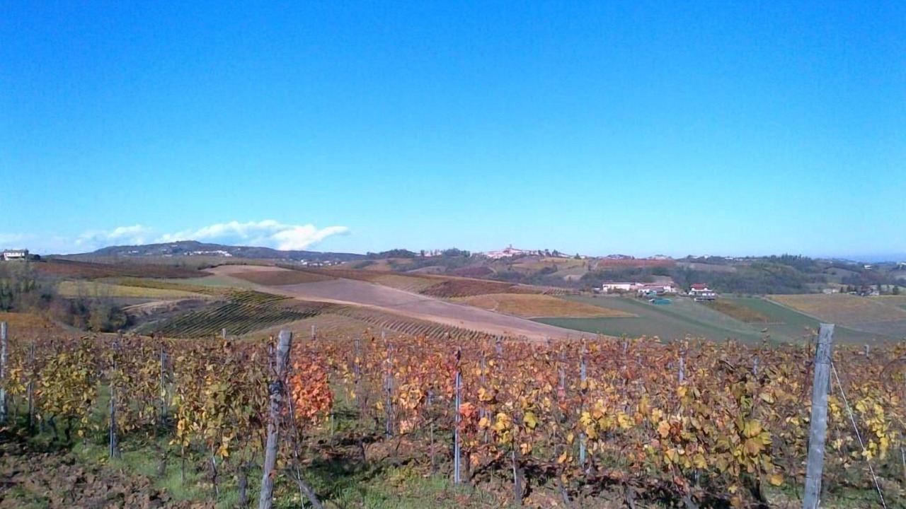 Photo of Outdoor in San Desiderio