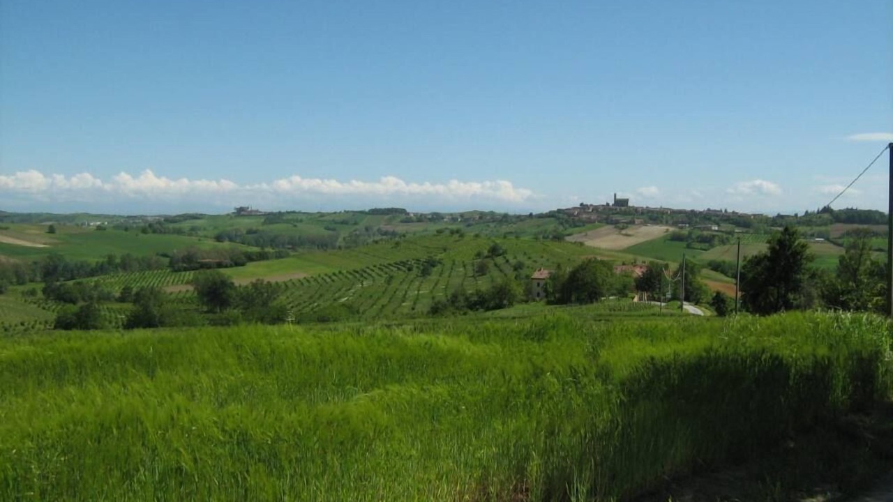 Photo of Outdoor in San Desiderio