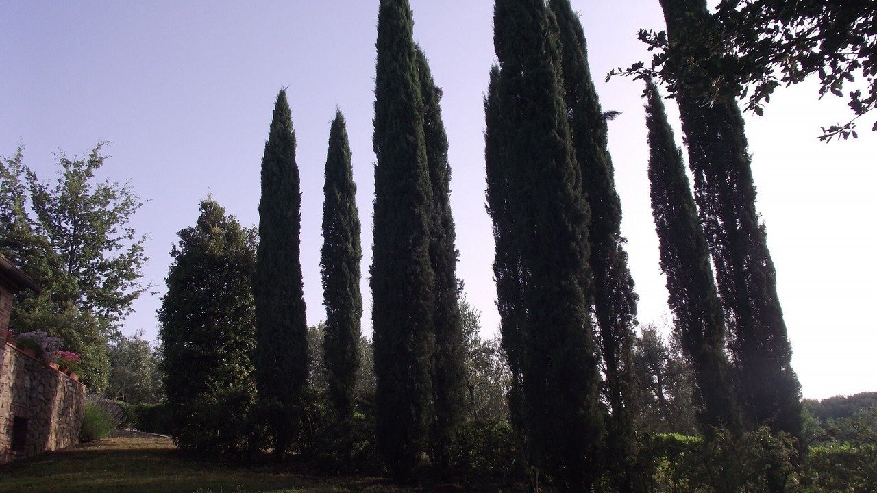 Photo of Outdoor in San Gusme