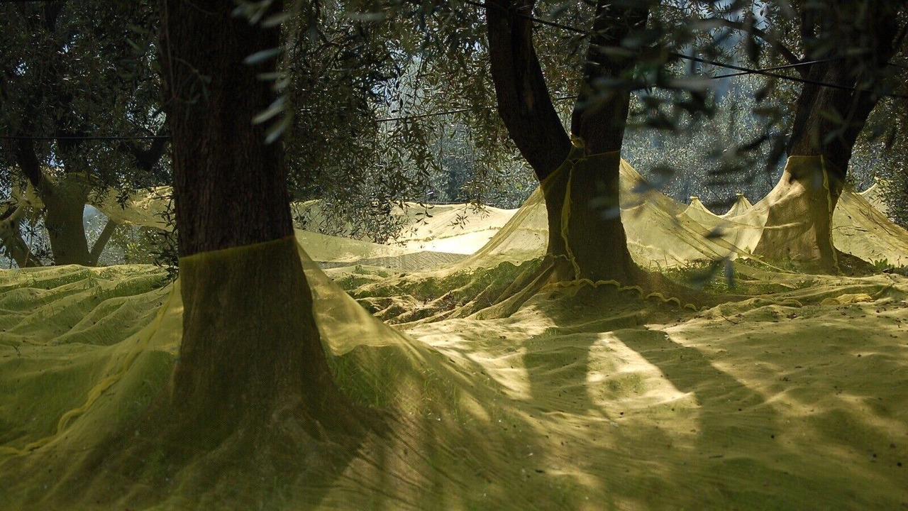 Photo of Others in Dolcedo