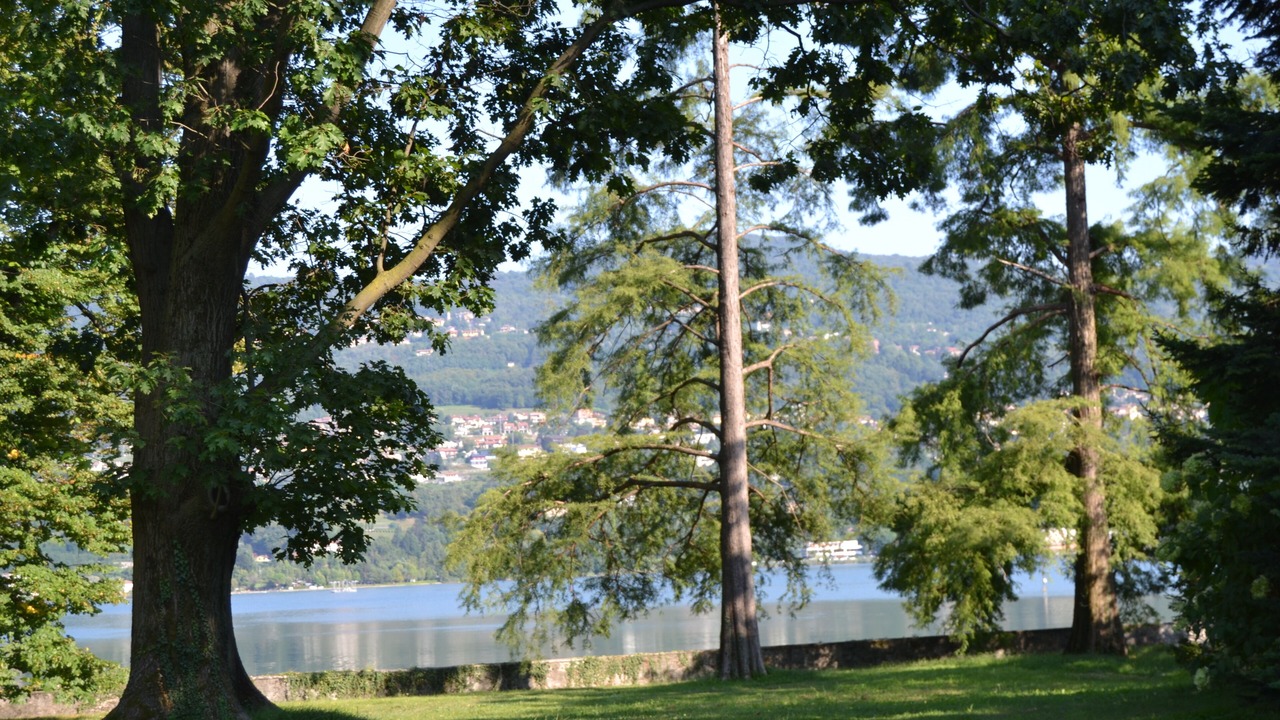 Photo of Outdoor in Annone di Brianza