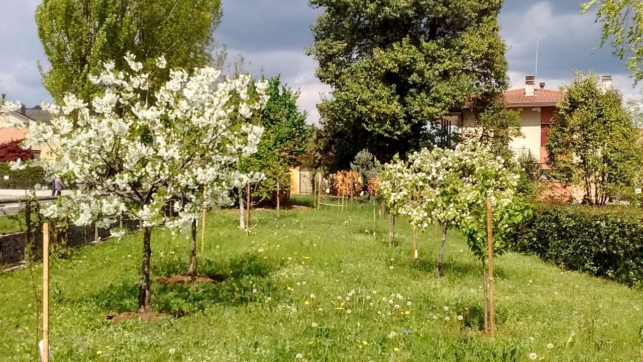 Photo of Outdoor in Volpago del Montello