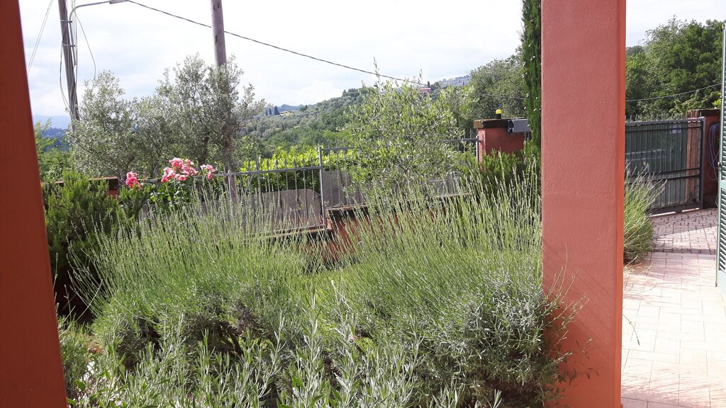 Photo of Others in Castelnuovo Magra