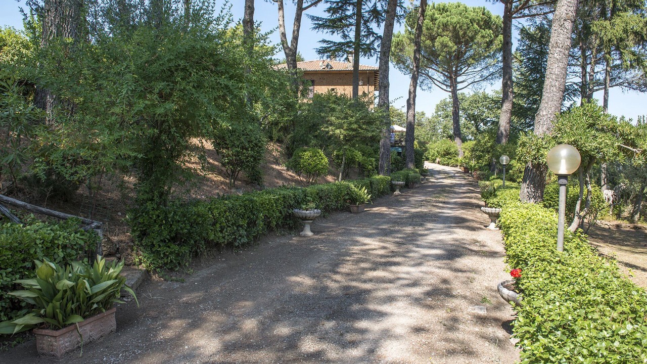 Photo of Outdoor in Porano