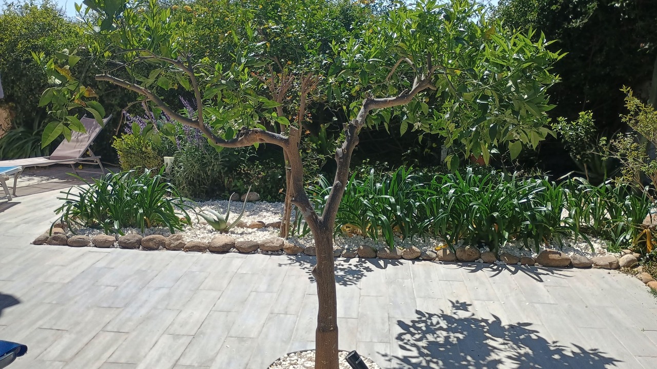 Photo of Outdoor in Epipoli
