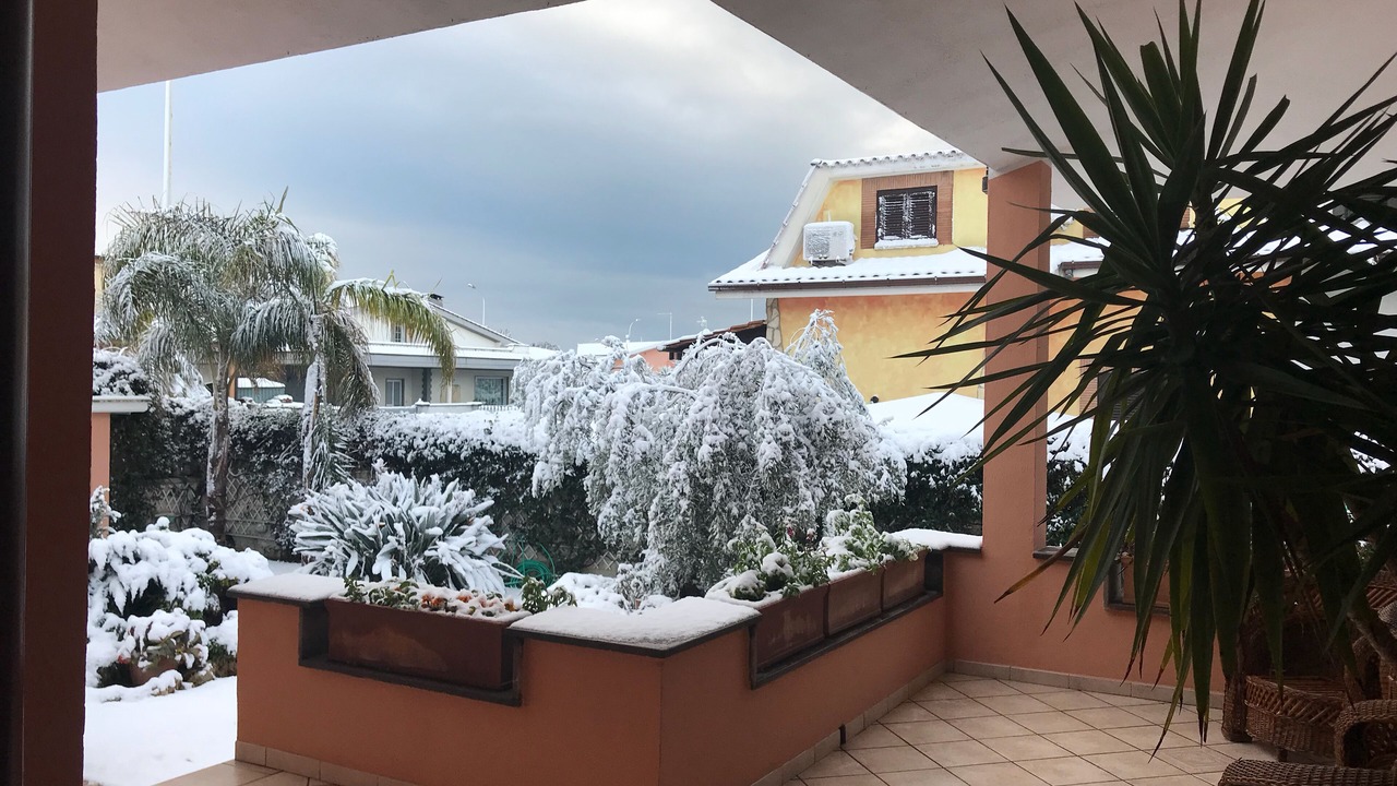 Photo of Outdoor in Ladispoli