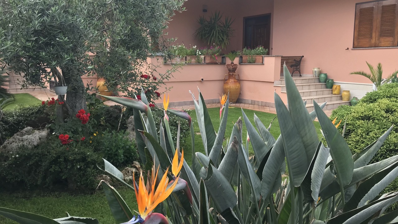 Photo of Outdoor in Ladispoli