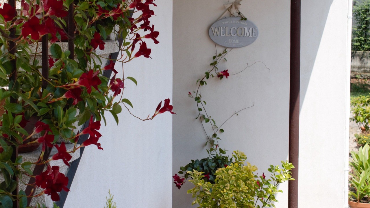 Photo of Outdoor in Pagnano