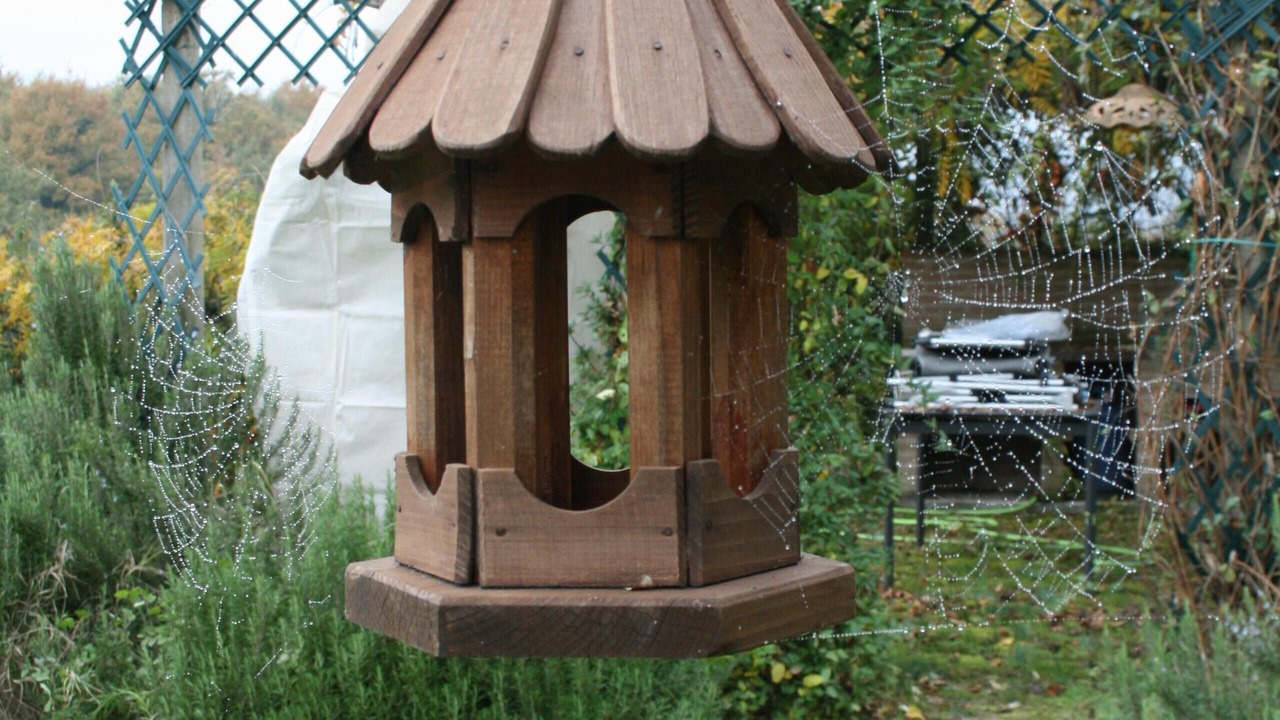 Photo of Outdoor in Fratta Todina