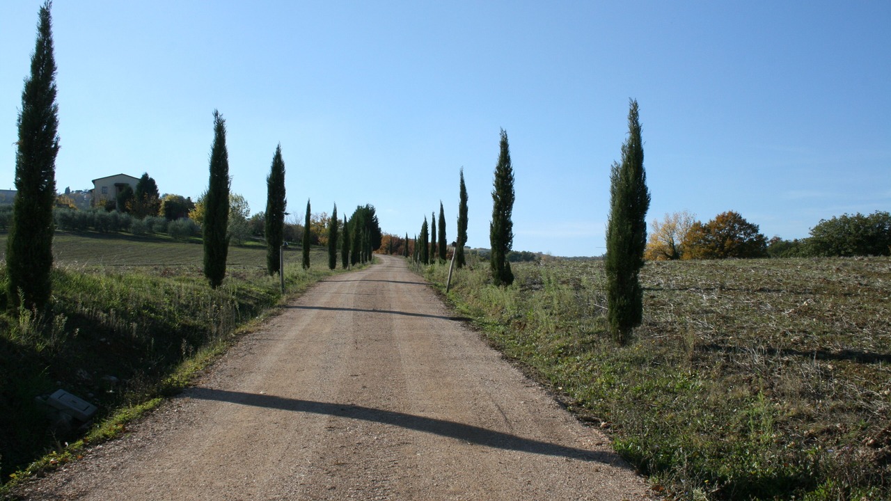 Photo of Outdoor in Fratta Todina