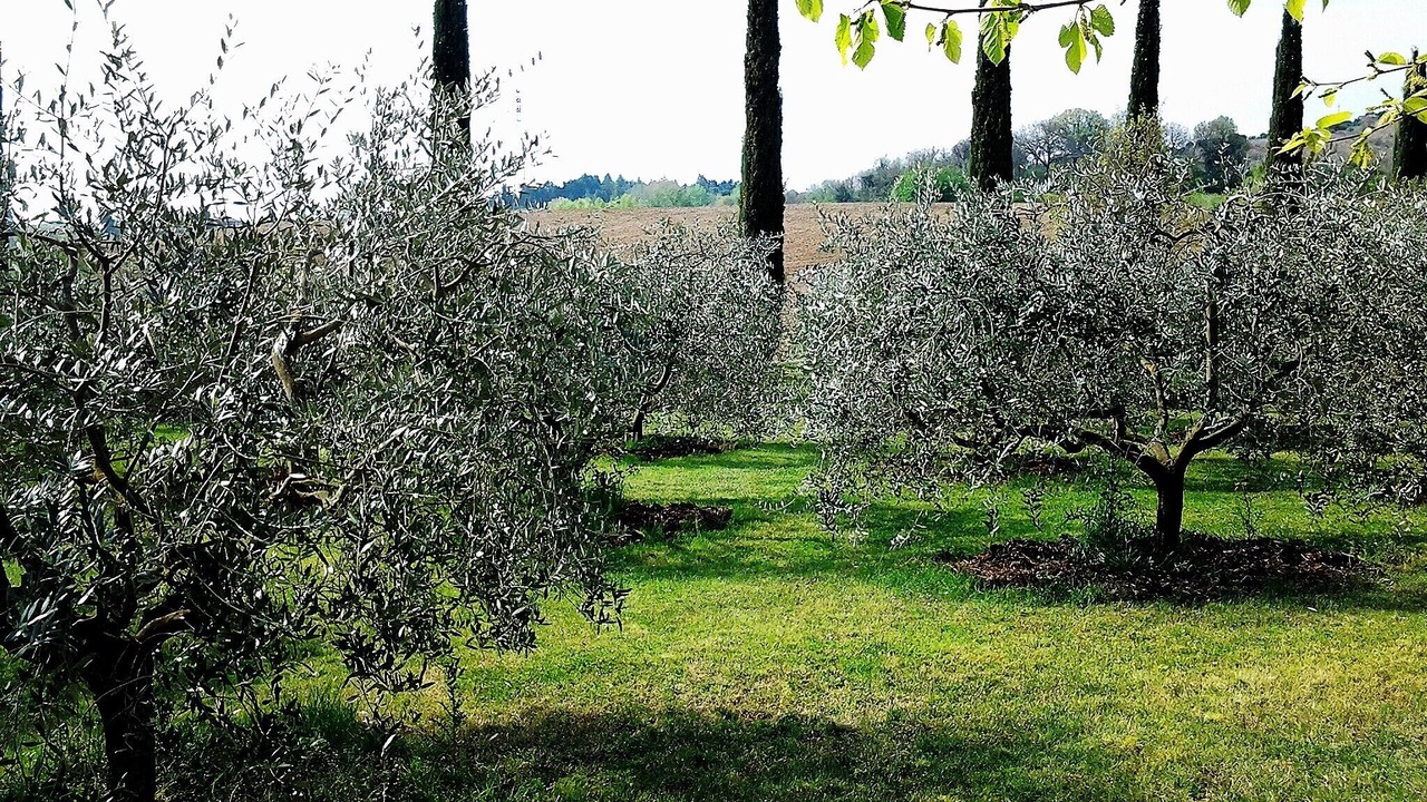 Photo of Outdoor in Fratta Todina