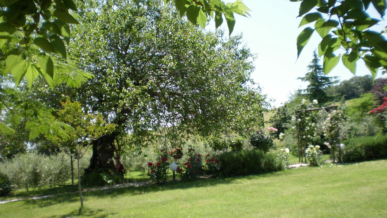 Photo of Outdoor in Fratta Todina
