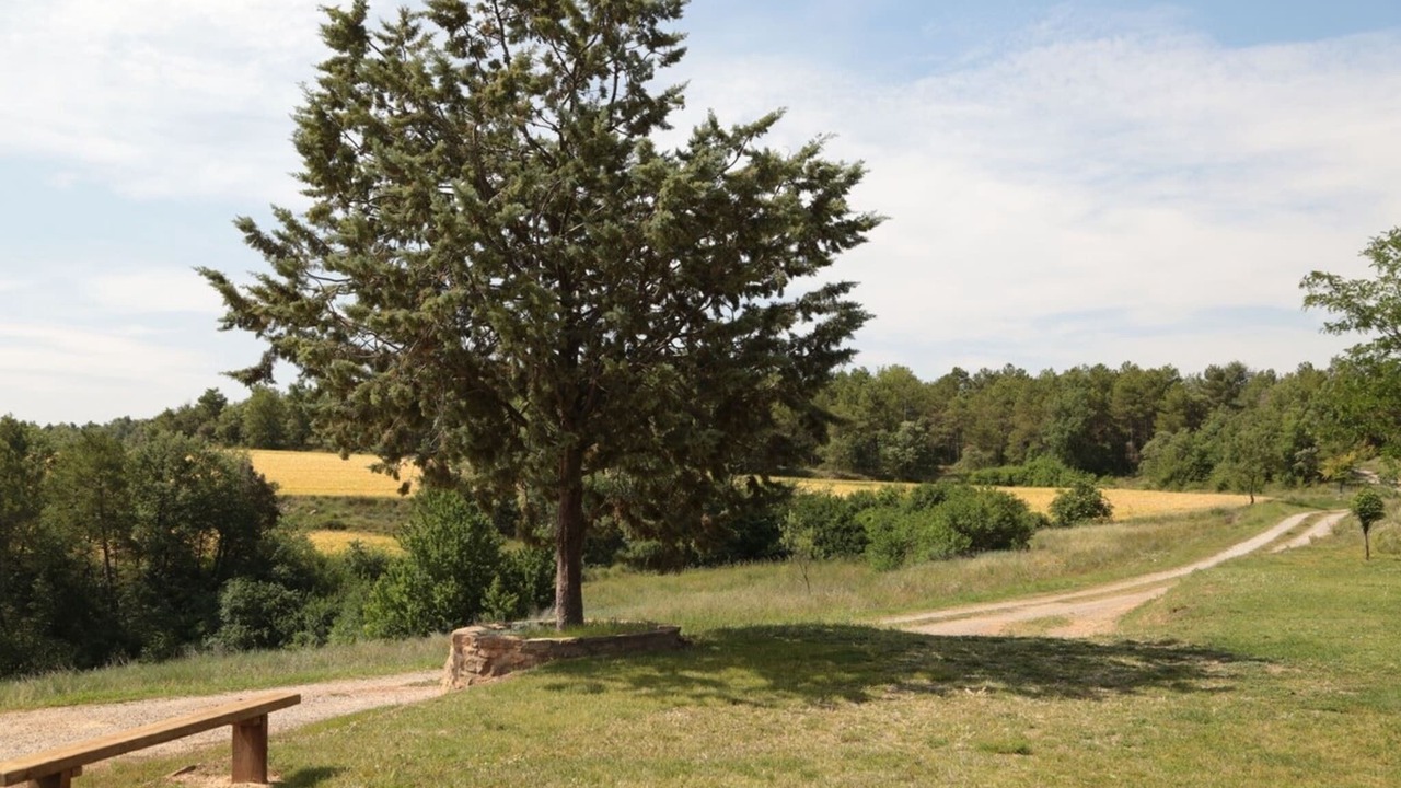Photo of Others in Olius