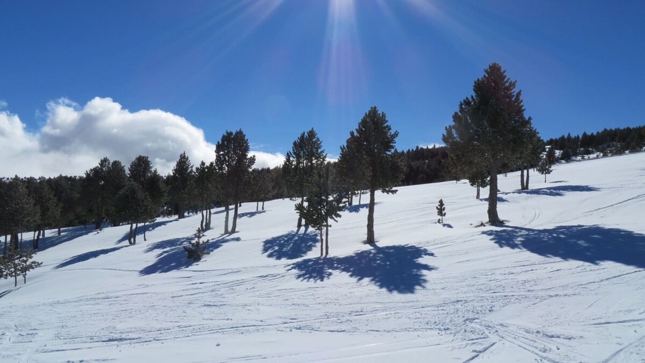 Photo of Others in Olius