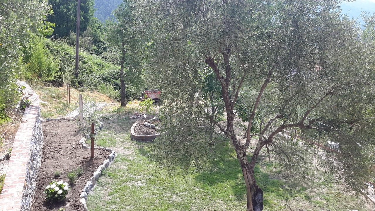 Photo of Outdoor in Sesta Godano