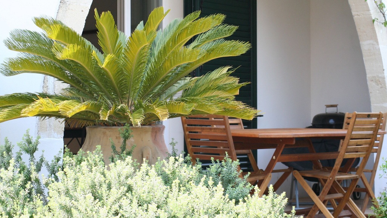 Photo of Others in Santa Maria al Bagno