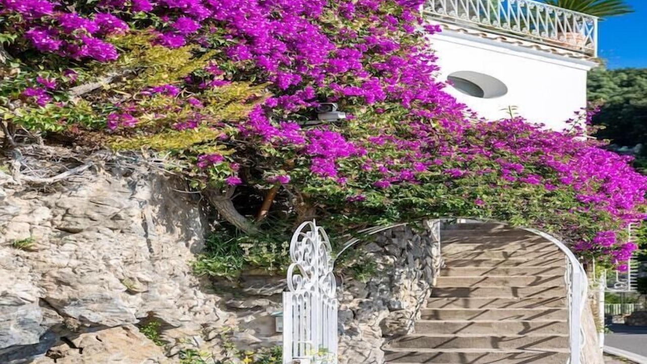 Photo of Outdoor in Arienzo
