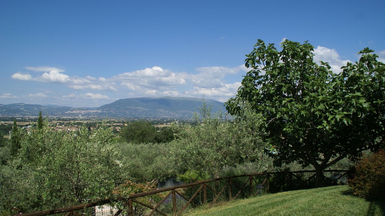 Photo of Outdoor in Bettona