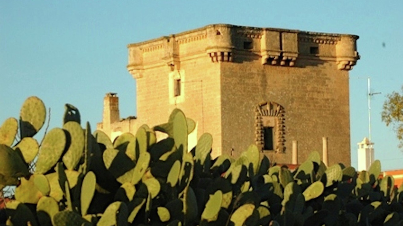 Photo of Others in Santa Maria al Bagno