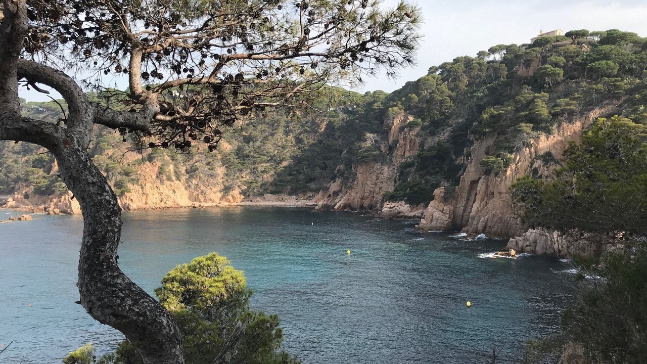 Photo of Others in Sant Feliu de Guixols