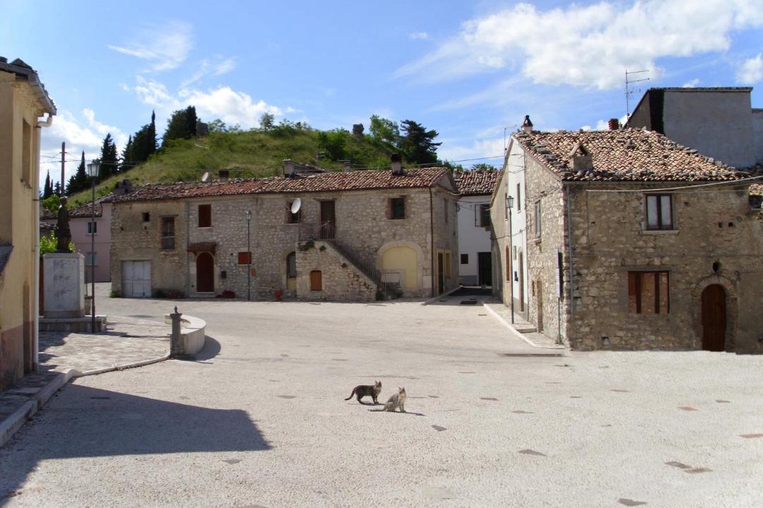 Photo of Buildings in Bojano